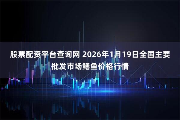 股票配资平台查询网 2026年1月19日全国主要批发市场鳝鱼价格行情